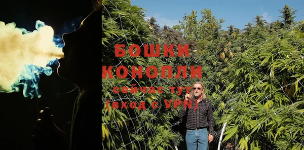 PSILOCYBIN Переславль-Залесский
