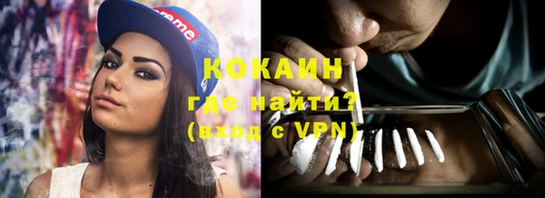 хмурый Осинники