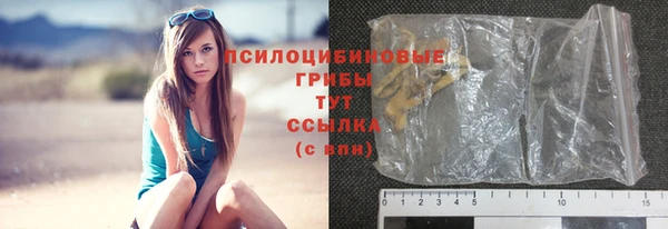 a pvp Пересвет