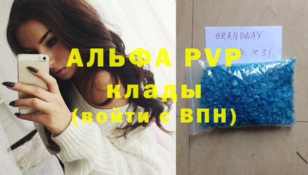 PSILOCYBIN Переславль-Залесский