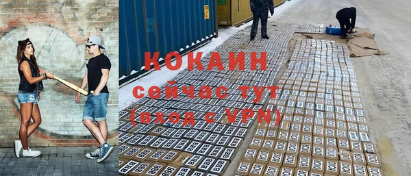 a pvp Пересвет