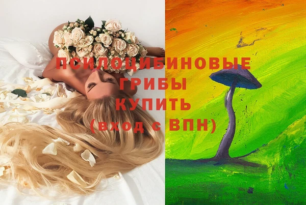 a pvp Пересвет