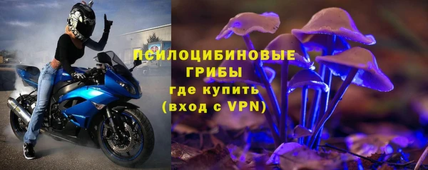 PSILOCYBIN Переславль-Залесский