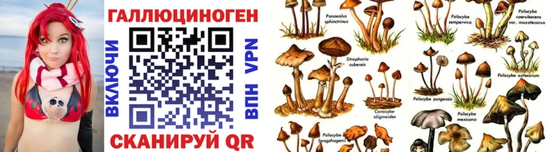 продажа наркотиков  Сергач  Галлюциногенные грибы Magic Shrooms 